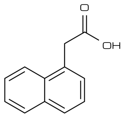 Kwas 1-naftylooctowy (NAA) proszek