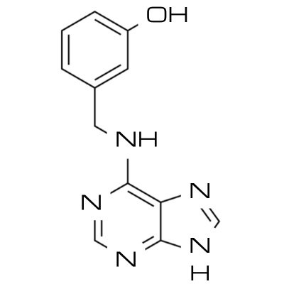 Meta-Topolina (mT) roztwór 1mg/ml